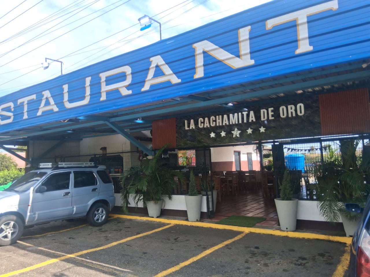 Barinas Cachapas Cochino Frito Carne Asar